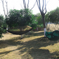 Portable Camping Hammock with Net Netting (Free Shipping)